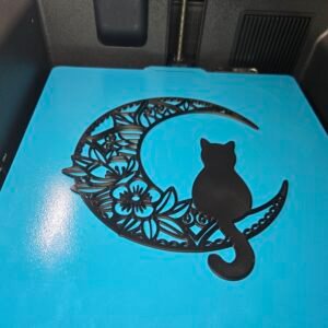 Cat sitting on a moon art